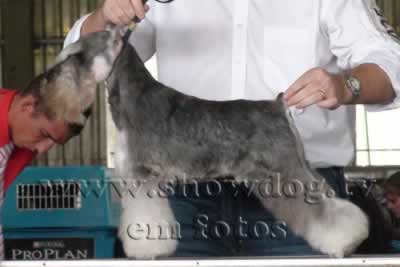 Clique sobre a foto para fechar